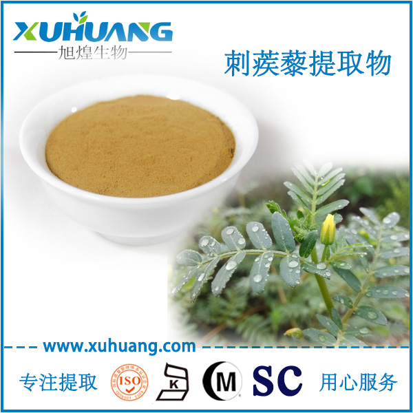 刺蒺藜提取物
