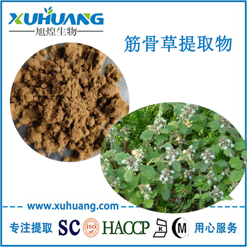 筋骨草提取物